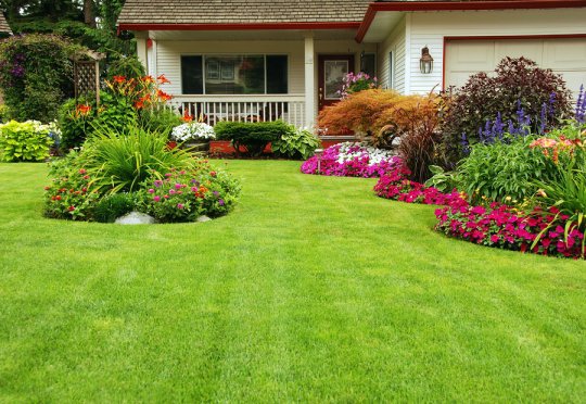 Yard remodeling in San Diego